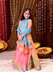 Colour Pop Princess Lehenga Set